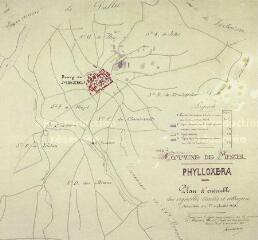 ouvrir dans la visionneuse : 1 vue Plan des vignobles de la commune de Mezel touchés par le phylloxéra (10 septembre 1879).